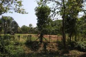 Land for sale in Hmawbi, Yangon
