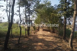 Commercial for sale in Yangon