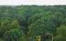 Land for sale in Palo-Alto, Laguna
