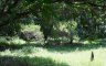 Land for sale in Palo-Alto, Laguna