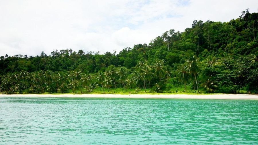 Land for sale in