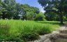 Land for sale in Sucol, Laguna