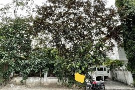Land for sale in Parañaque, Metro Manila