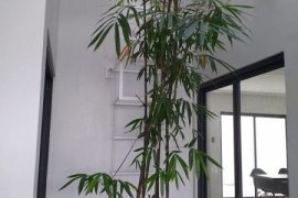 3 Bedroom House for sale in San Isidro, Metro Manila