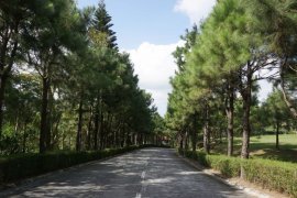 Land for sale in Crosswinds, Tagaytay, Cavite