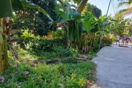 Land for sale in Negros Oriental