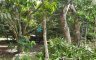 Land for sale in Enrique Villanueva, Negros Oriental