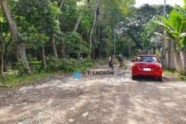 Land for sale in Enrique Villanueva, Negros Oriental