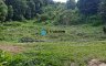 Land for sale in Negros Oriental