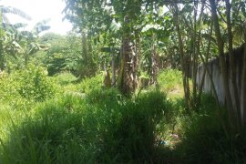 Land for sale in Dumaguete, Negros Oriental