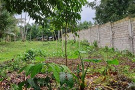 Land for sale in Negros Oriental