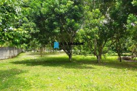 Land for sale in Negros Oriental