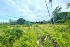Land for sale in Buntod, Negros Oriental