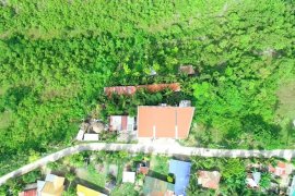 Commercial for sale in Tabionan, Cebu