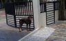 3 Bedroom House for sale in Tawason, Cebu