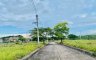 Land for sale in Danglag, Cebu