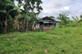 Land for sale in Simala, Cebu