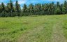 Land for sale in Sandayong, Cebu