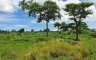 Land for sale in Pajo, Cebu