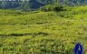 Land for sale in Pamutan, Cebu