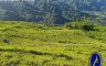 Land for sale in Pamutan, Cebu