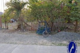 Land for sale in Ibabao, Cebu