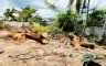 3 Bedroom House for sale in Linao, Cebu