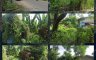 Land for sale in Looc, Cebu