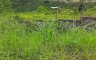 Land for sale in Lagtang, Cebu