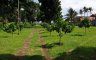 Land for sale in Talisay, Batangas