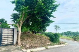 Land for sale in Taytay, Rizal