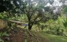 Land for sale in Guadalupe, Cebu