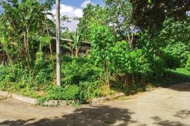 Land for sale in Pulangbato, Cebu