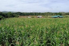 Land for sale in Lunocan, Bukidnon