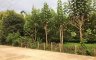 Land for sale in Lumbia, Misamis Oriental