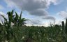 Land for sale in Mantibugao, Bukidnon