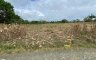 Land for sale in Lingion, Bukidnon