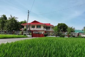 Land for sale in Celestino Villacin, Negros Occidental