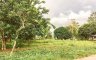 Land for sale in Lingi-On, Bukidnon
