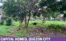 Land for sale in Matandang Balara, Metro Manila