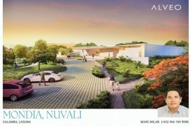 Land for sale in Santo Domingo, Laguna