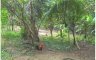Land for sale in San Mateo, Bulacan