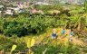 Land for sale in Sucol, Laguna