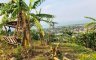 Land for sale in Sucol, Laguna