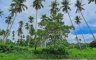 Land for sale in Lusacan, Quezon