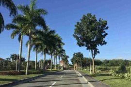 Land for sale in Canlubang, Laguna