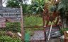 Land for sale in San Isidro, Metro Manila