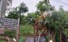 Land for sale in San Isidro, Metro Manila