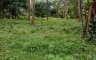 Land for sale in Cuyambay, Rizal
