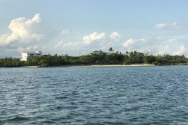 Land for sale in Subabasbas, Cebu
